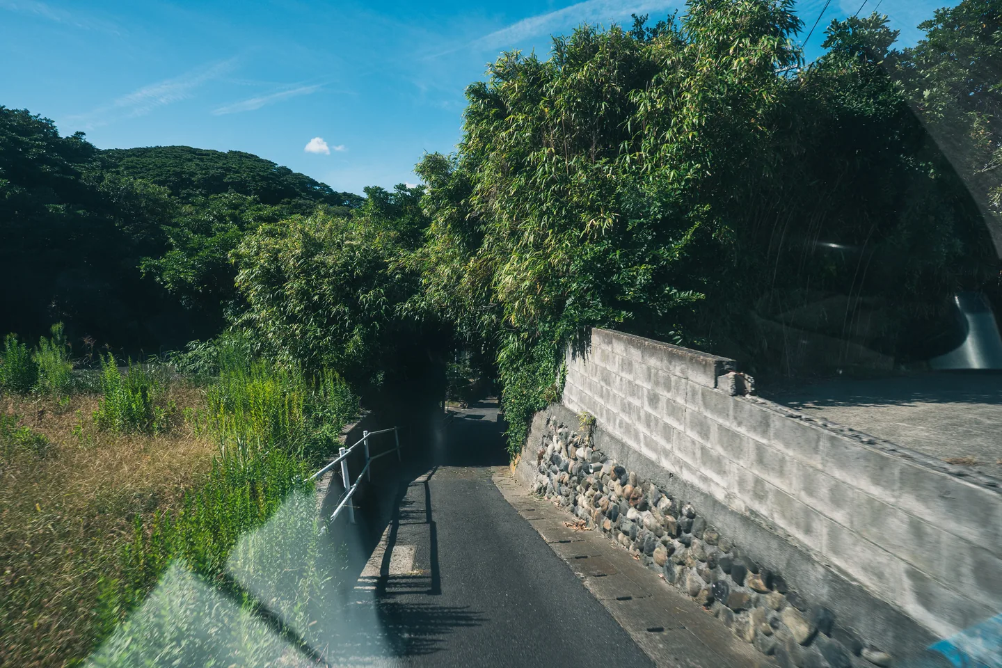 緑と石垣の間を通る細い道